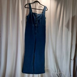 🌹🌹Arizona Jean Company Overalls